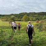 Planinarenje