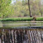 Slika3-1024×683