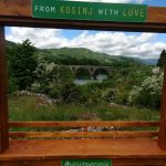 pogled_na_kosinjski_most_-_anamarija_jurkoviY__velika