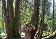 Arboretum Opeka uskoro se otvara: zeleno izletište koje bi moglo postati jedna od najljepših adresa kontinentalne Hrvatske